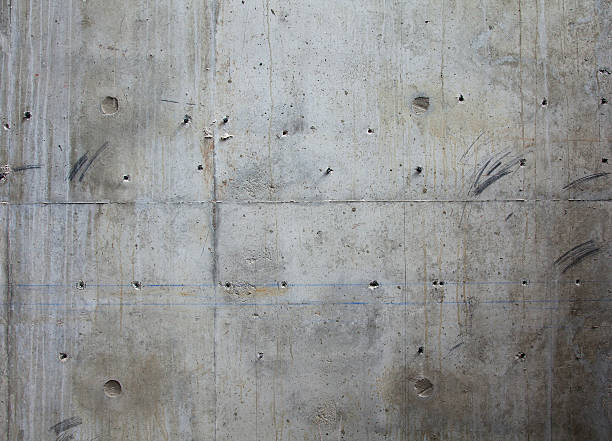 Best Concrete Sealing and Maintenance in Palmview, TX